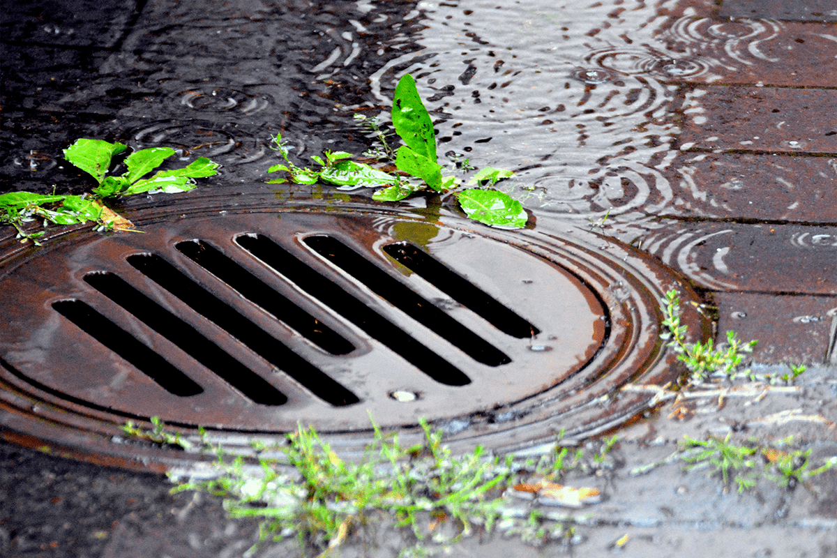 drain unlock