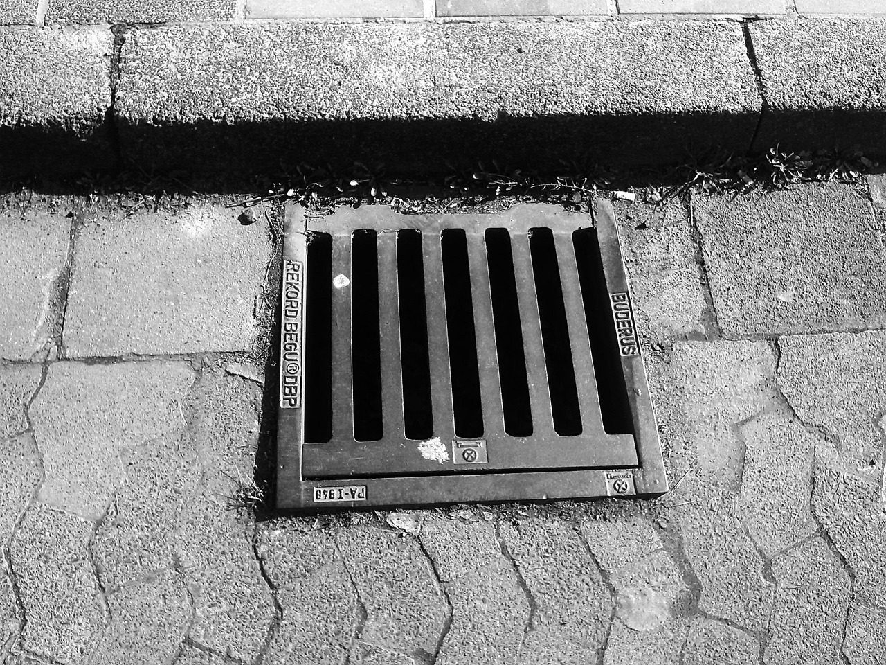 Blocked Drains Auckland CBD