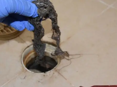 Hair and gunk pulled out of a blocked floor drain